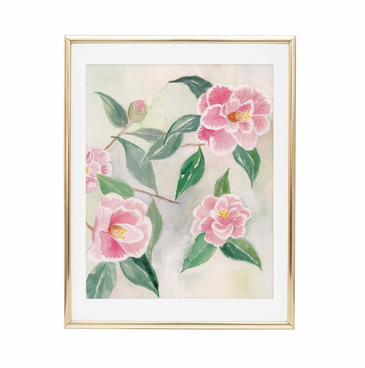 Camellias FINE ART PRINT