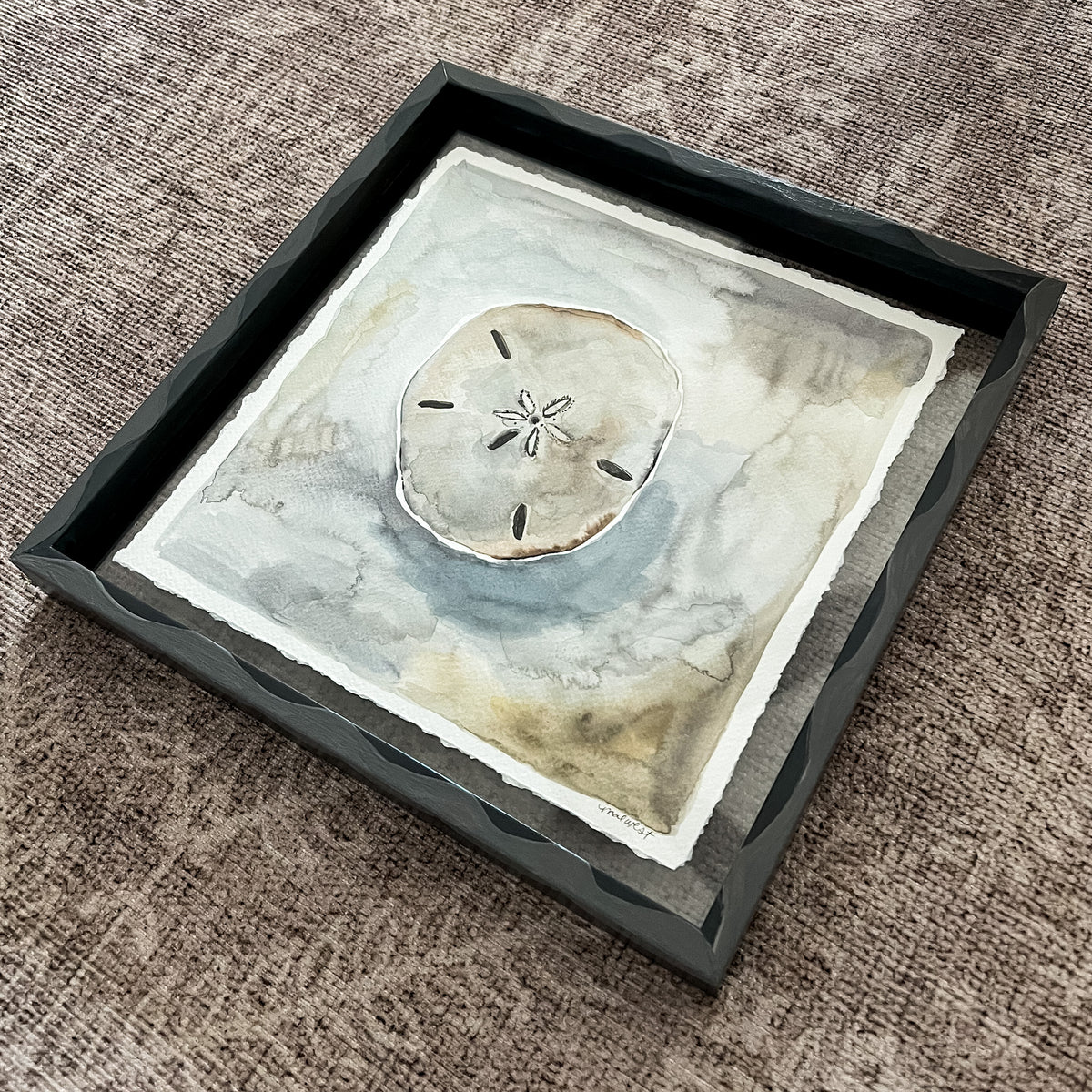 Sand Dollar: Floating Framed