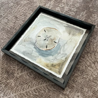 Sand Dollar: Floating Framed