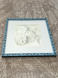 Sand Dollar: Blue Framed