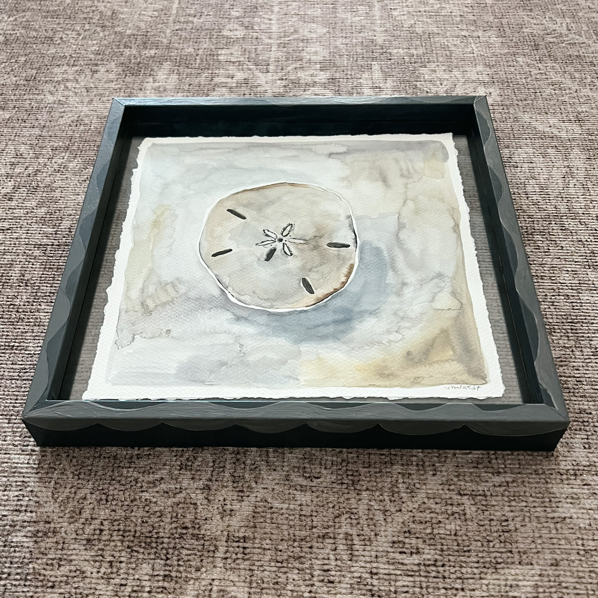 Sand Dollar: Floating Framed