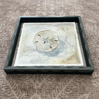 Sand Dollar: Floating Framed