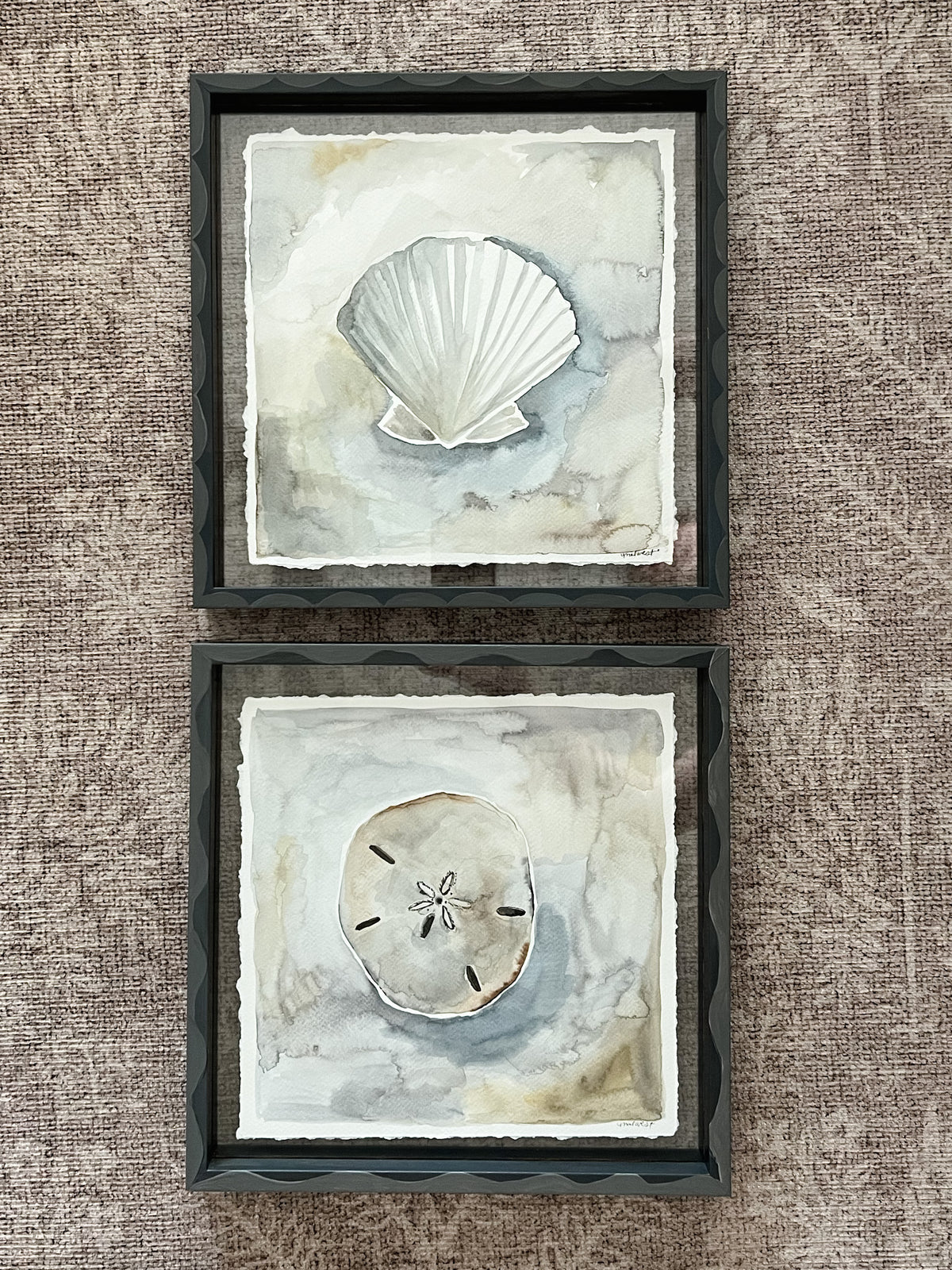 Sand Dollar: Floating Framed