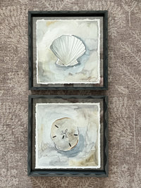 Sand Dollar: Floating Framed
