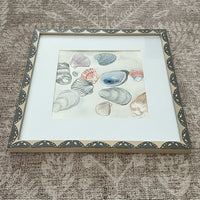 Shell Assortment: Grey Framed
