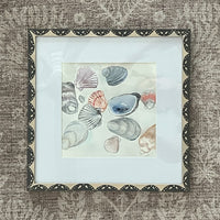 Shell Assortment: Grey Framed