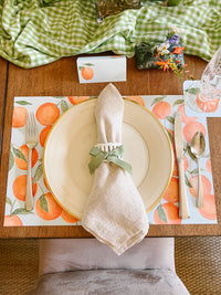 Oranges Coasters