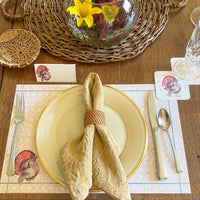 Turkey Coasters