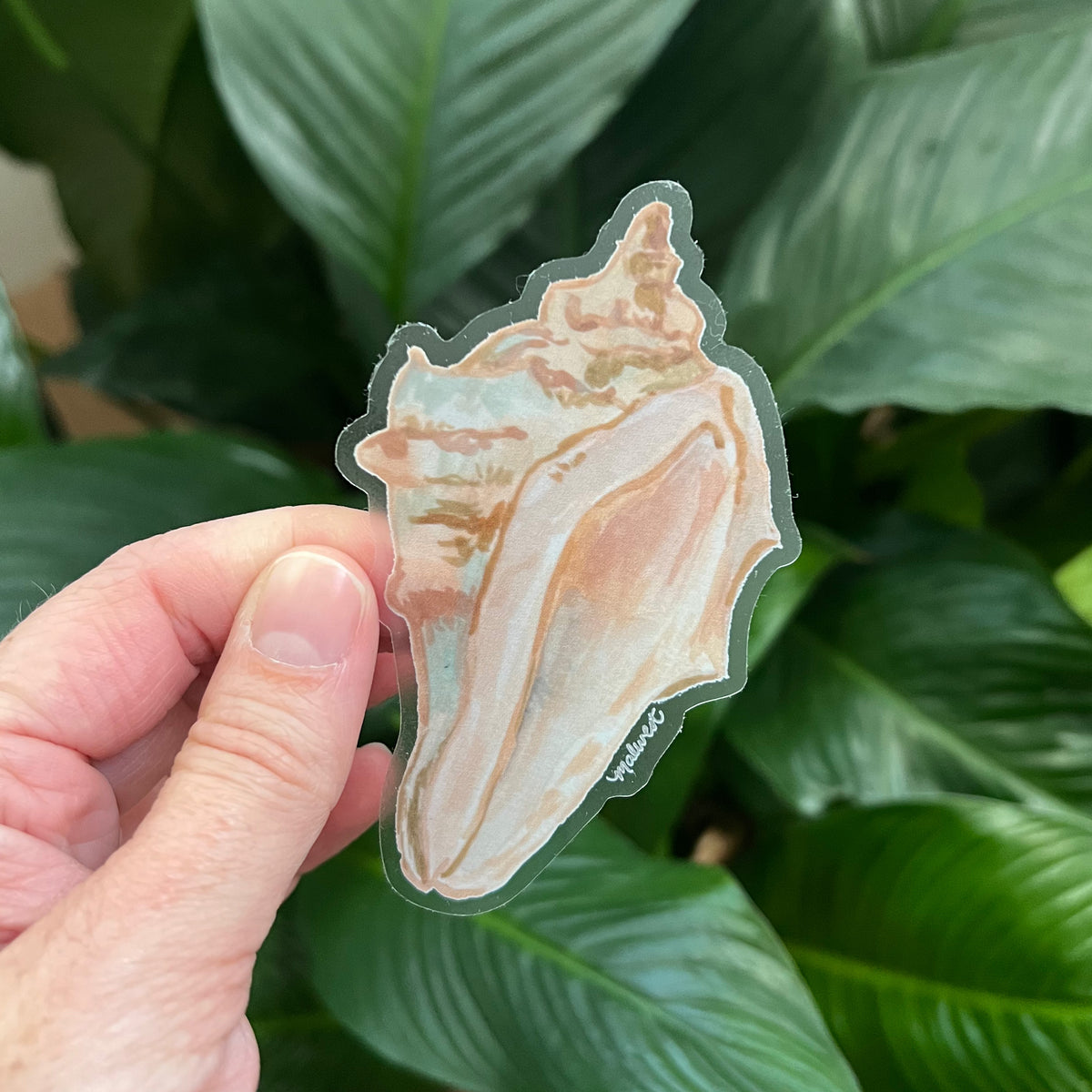 Shell Vinyl Sticker