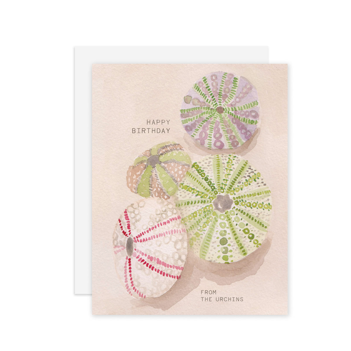 Birthday Urchins - A2 notecard
