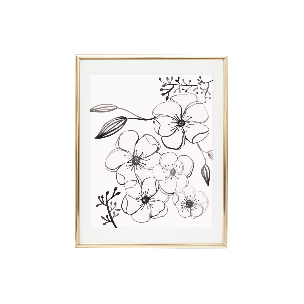 Anemone Floral Print