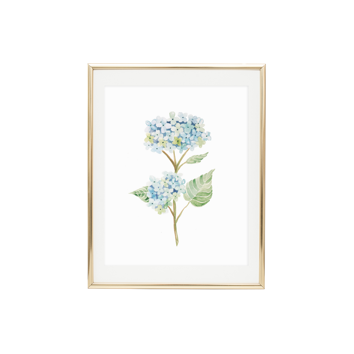 Hydrangea 2 Print