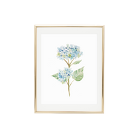 Hydrangea 2 Print