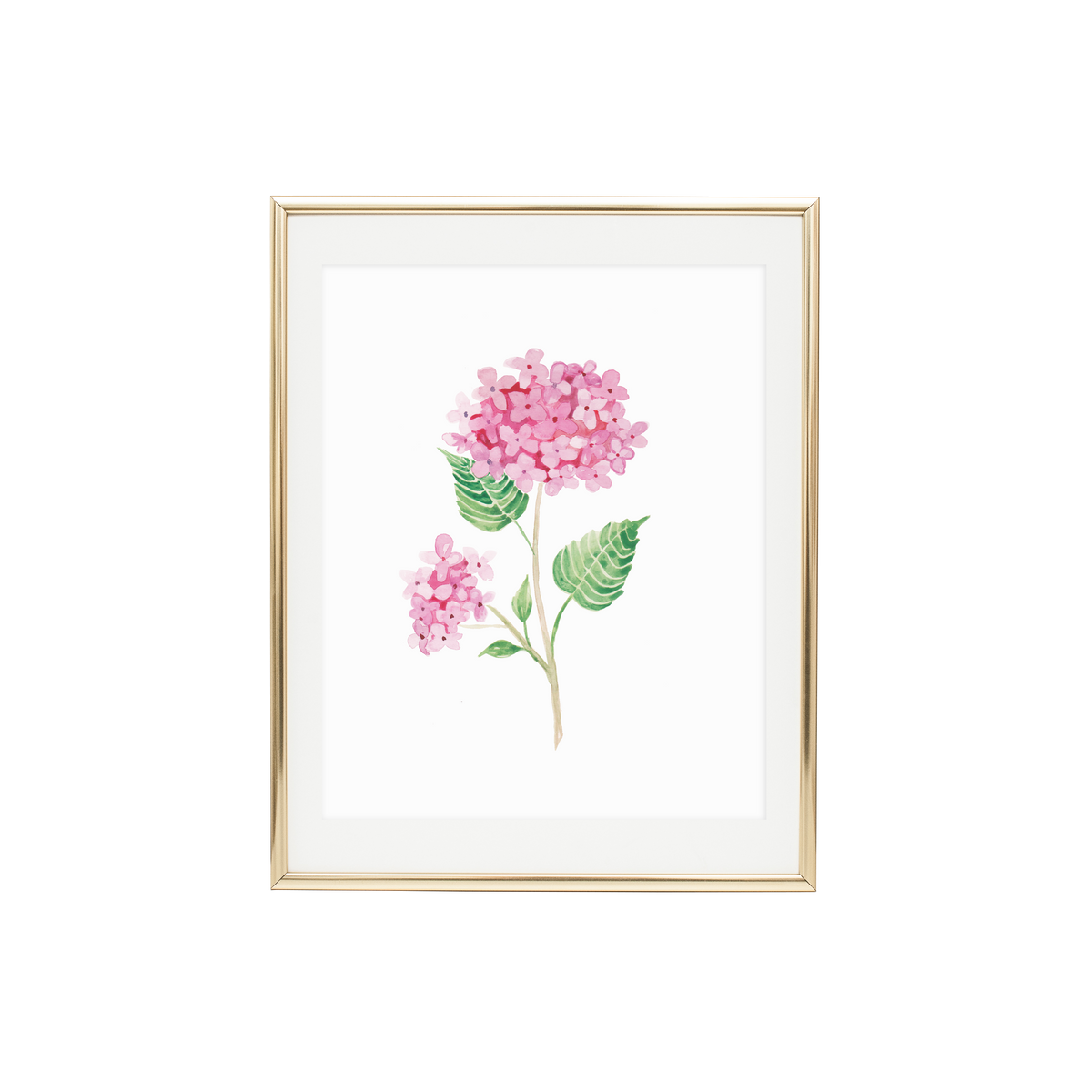 Hydrangea 4 Print