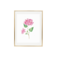 Hydrangea 4 Print
