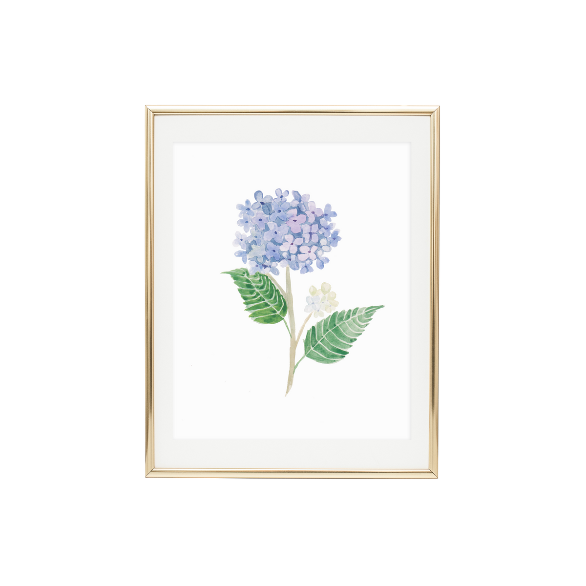 Hydrangea 3 Print