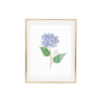 Hydrangea 3 Print