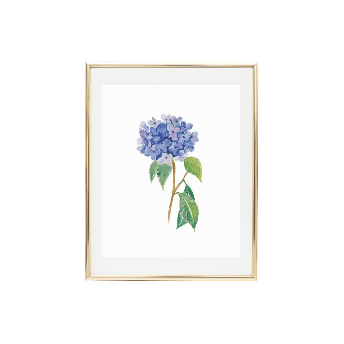 Hydrangea 1  Print