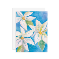 White Poinsettia- A2 notecard