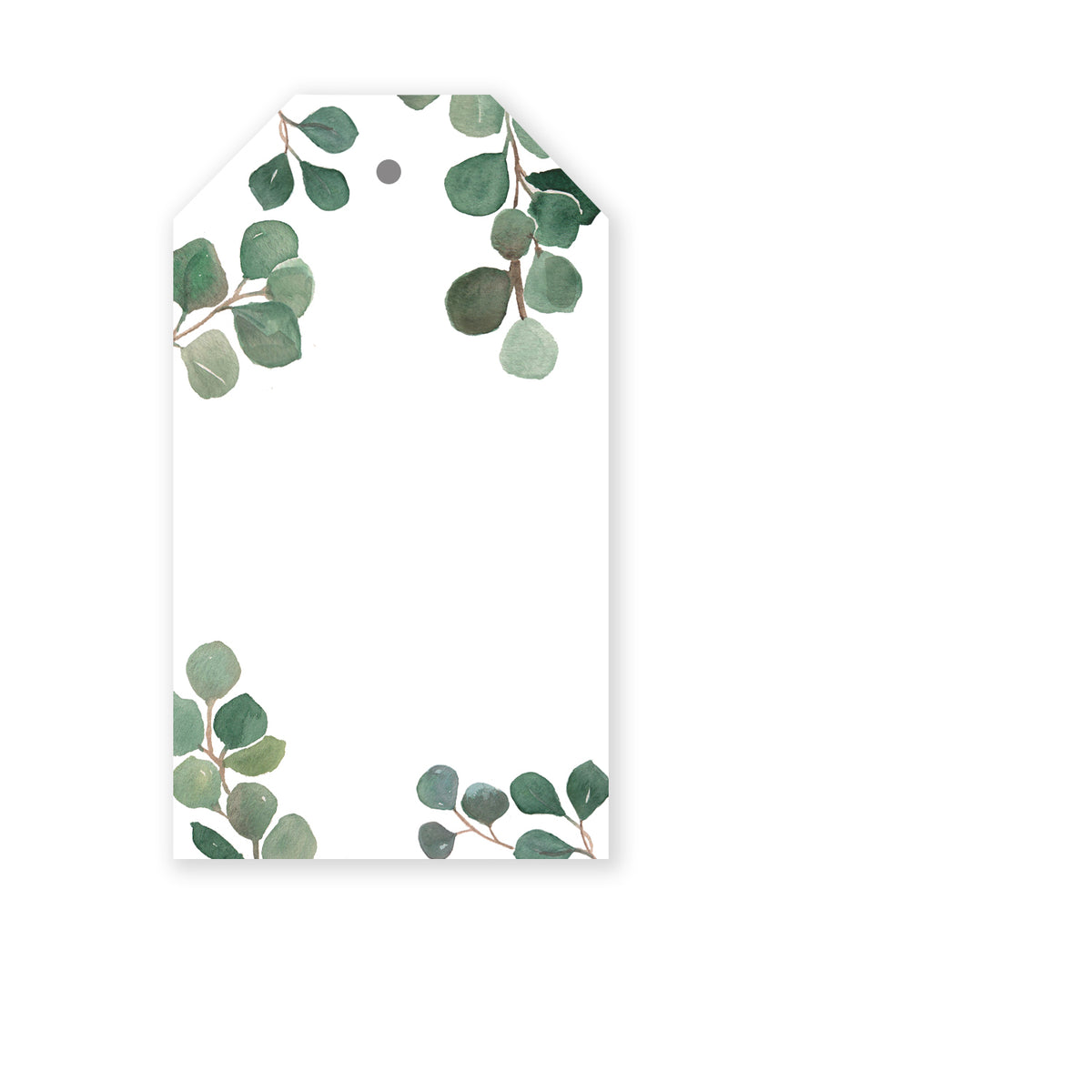 Eucalyptus Gift Tag | Box Set of 12