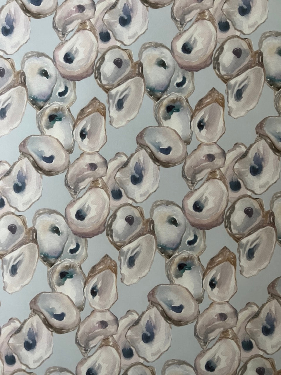 Oyster Shells Wrapping Sheets
