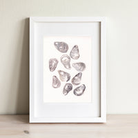 Oyster Shells Print