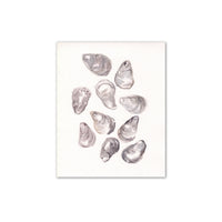 Oyster Shells Print