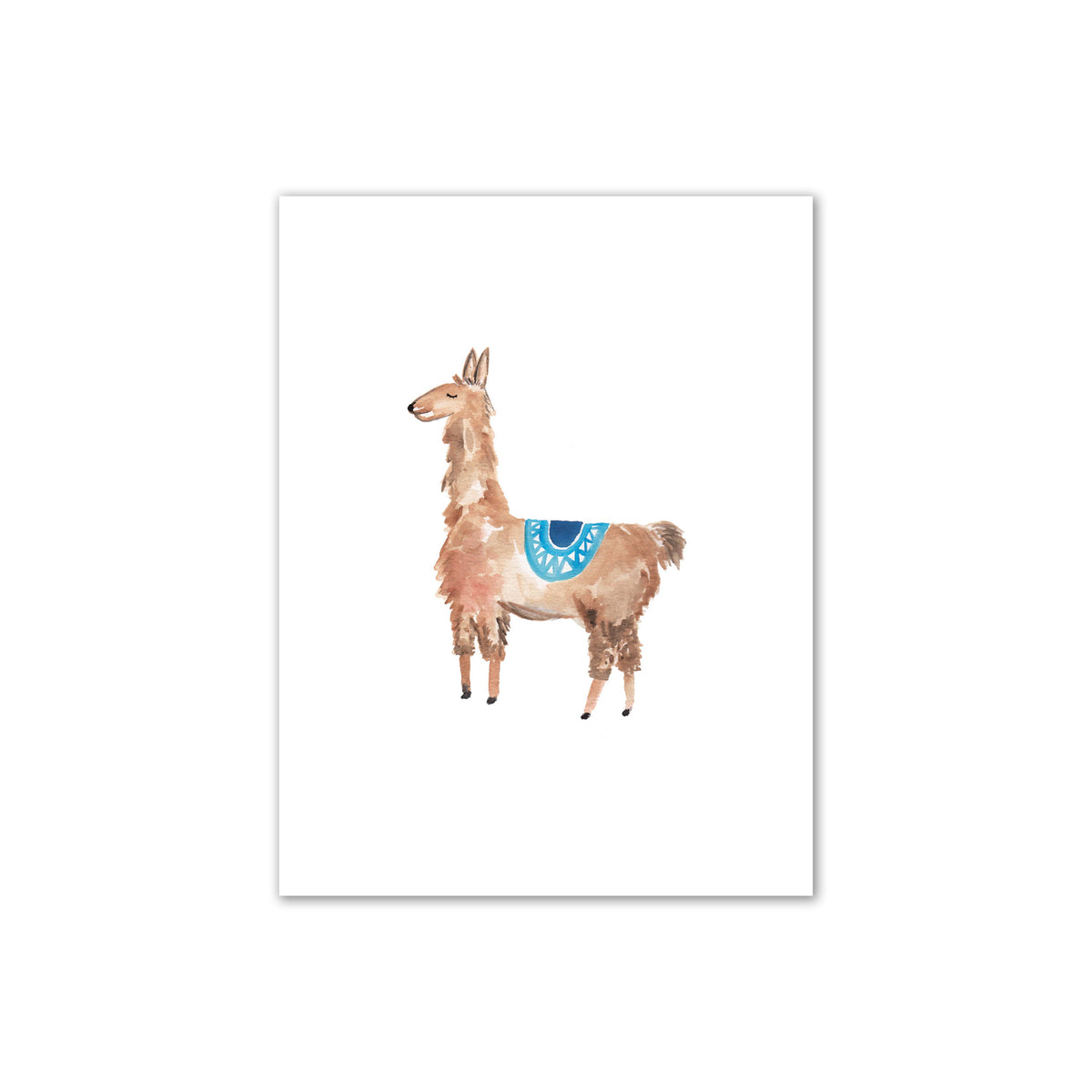 William Llama Print
