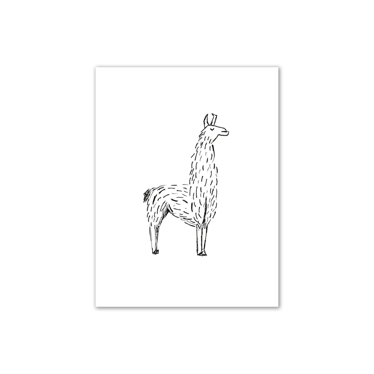 Black and White Llama Print