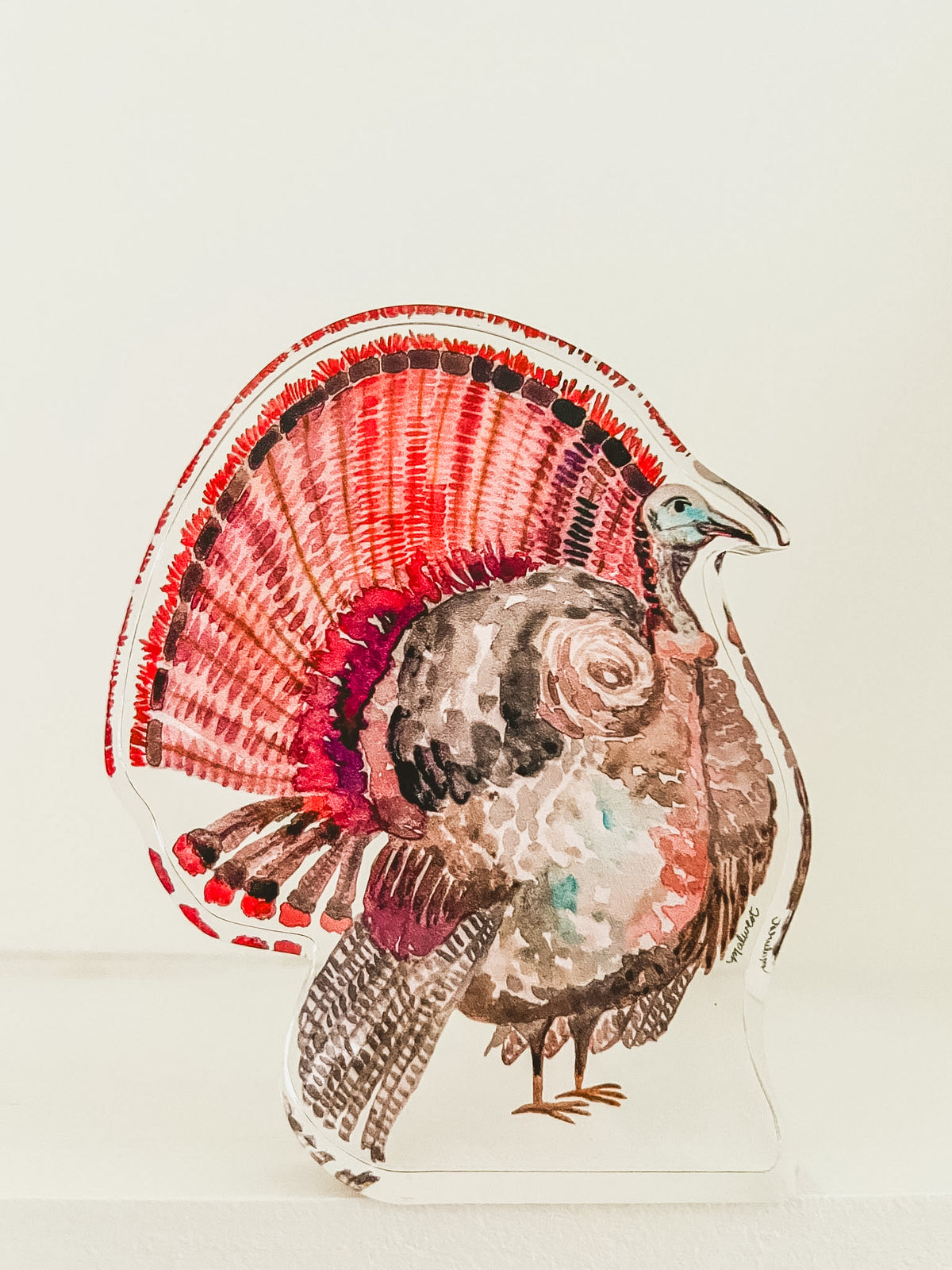 Acrylic Shelfie Mini: Turkey