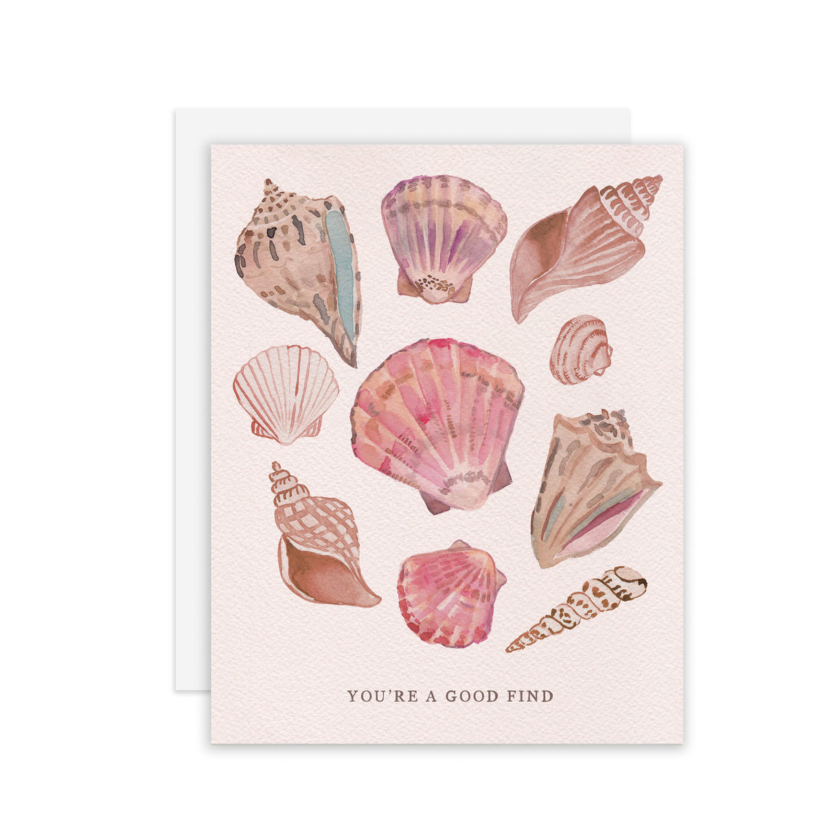 A Good Fine Shells - A2 note card