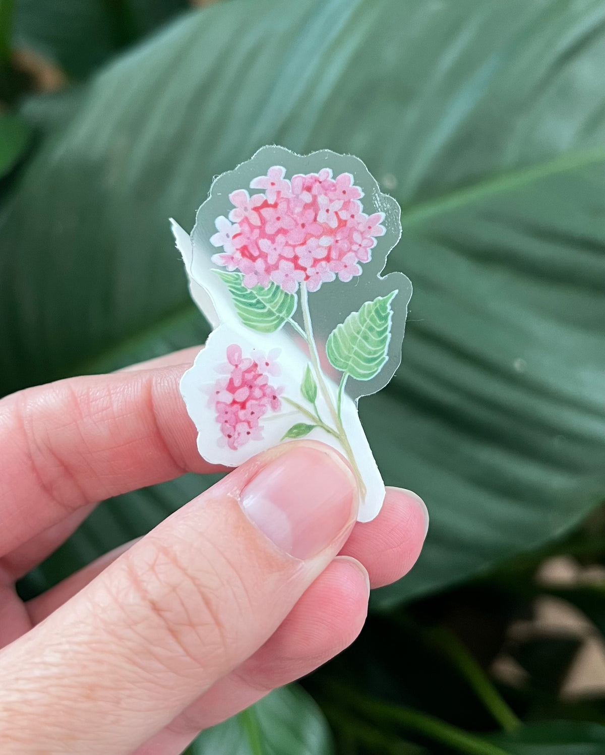 Pink Hydrangea Vinyl Sticker