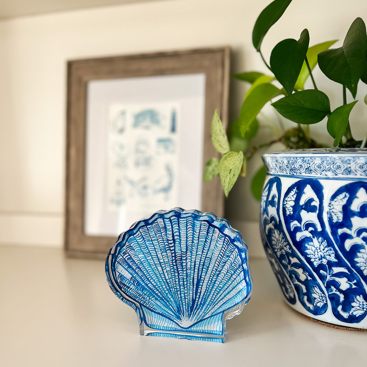 Acrylic Shelfie: Scallop Shell