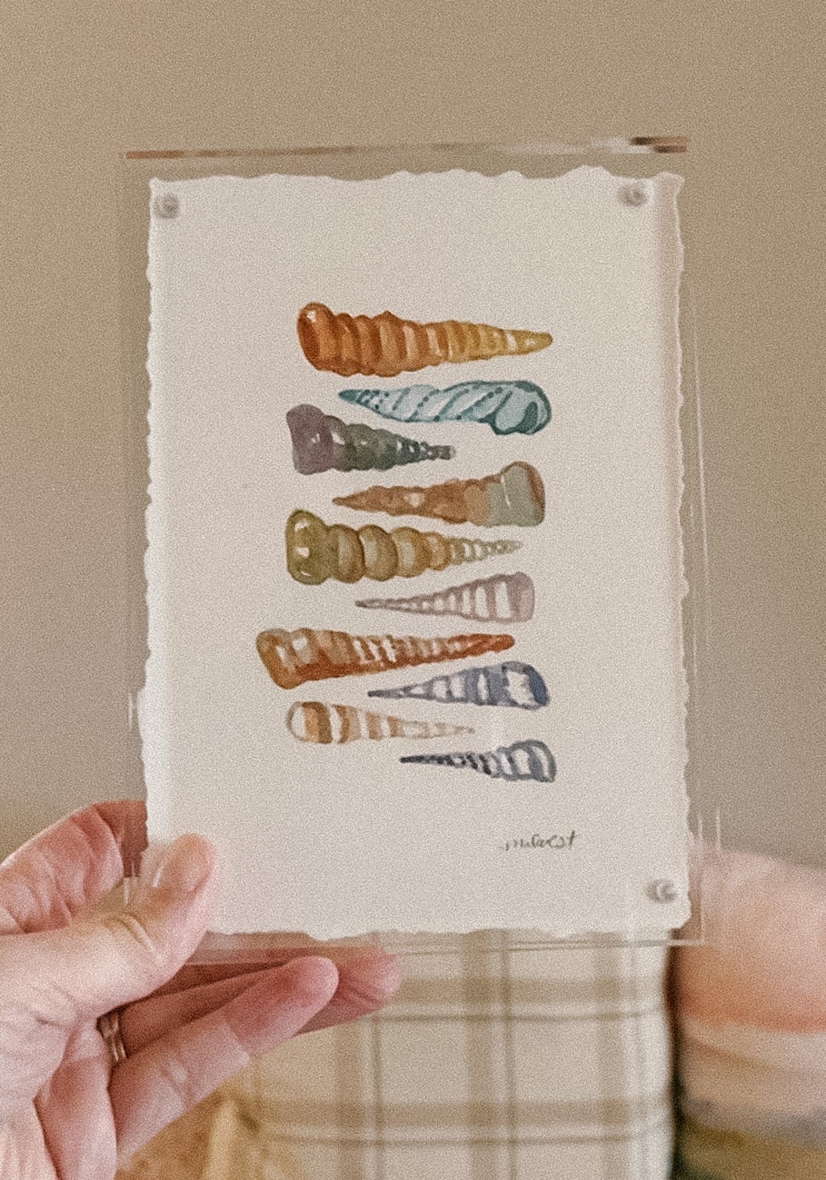 Mermaids + Mementos Original Painting: Saltwater Shell Study