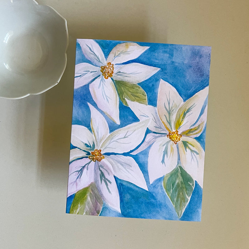 White Poinsettia- A2 notecard