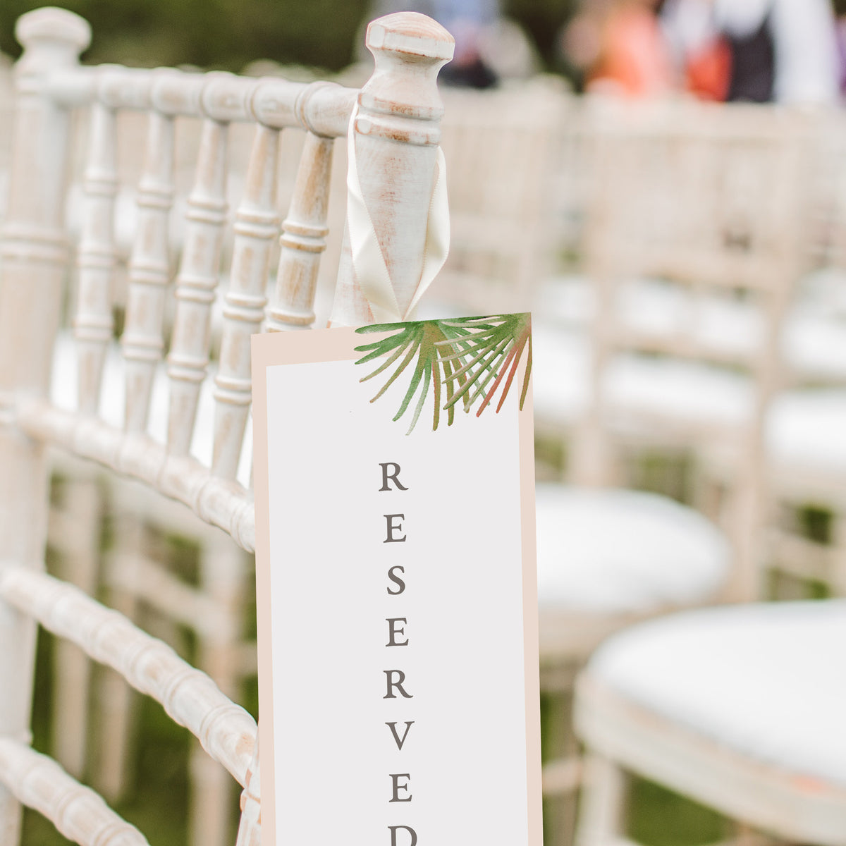 Coral Palm Chair Signs