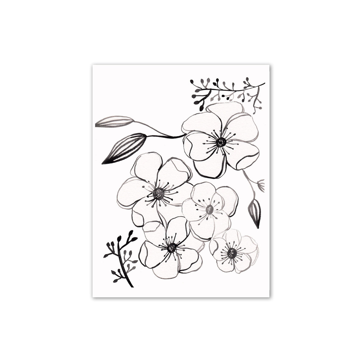 Anemone Floral Print